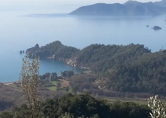 Ξενοδοχείο Guentur & Restaurant 3*